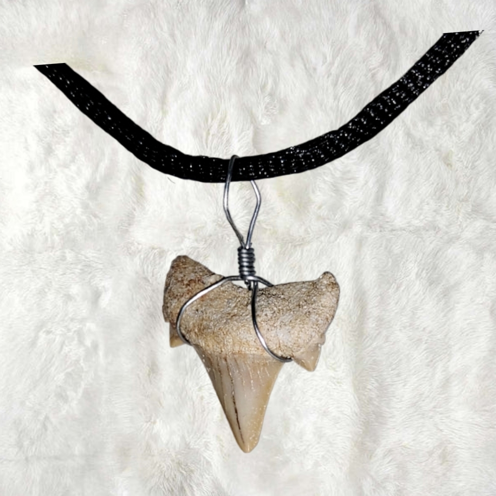Genuine Fossilized Shark Tooth Pendant w/ Cord Necklace